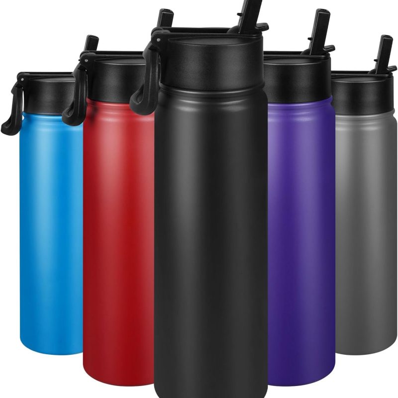 24 oz Insulated Water Bottle with Straw, Stainless Steel Double Wall Vacuum  with Straw Lid Leak Proof, Wide Mouth Lid, Keep Cold and Hot
